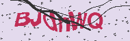 Captcha認証コード