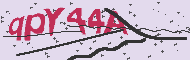 Captcha認証コード