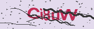 Captcha認証コード