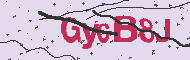 Captcha認証コード
