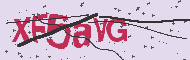 Captcha認証コード