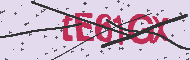 Captcha認証コード