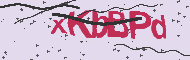 Captcha認証コード