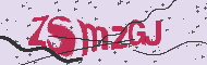 Captcha認証コード