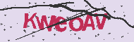 Captcha認証コード