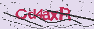 Captcha認証コード