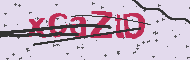 Captcha認証コード
