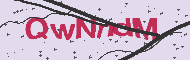 Captcha認証コード