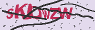 Captcha認証コード