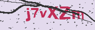 Captcha認証コード