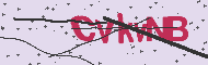 Captcha認証コード