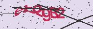 Captcha認証コード
