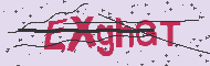 Captcha認証コード
