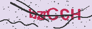 Captcha認証コード