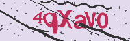 Captcha認証コード